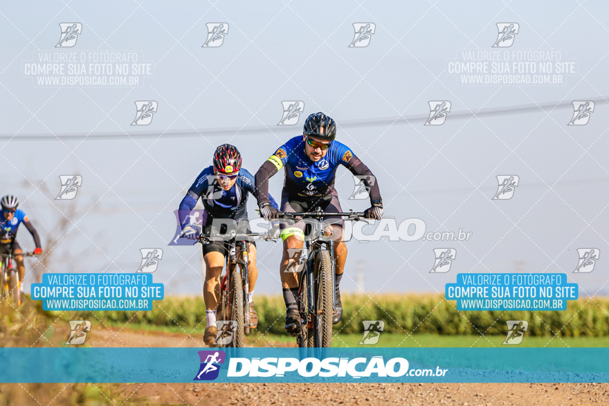 V Desafio MTB Marialva