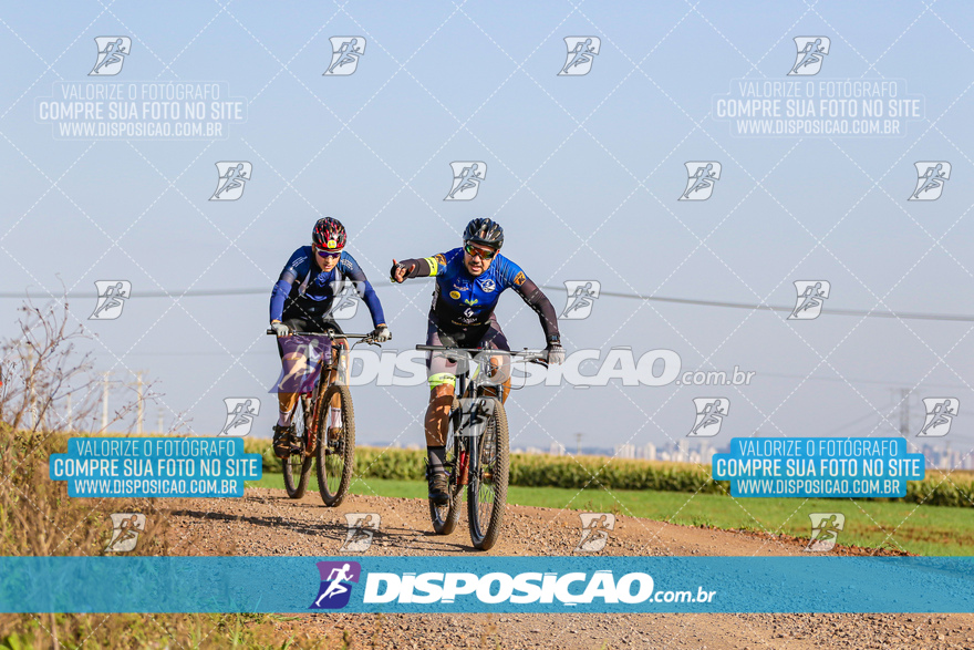 V Desafio MTB Marialva