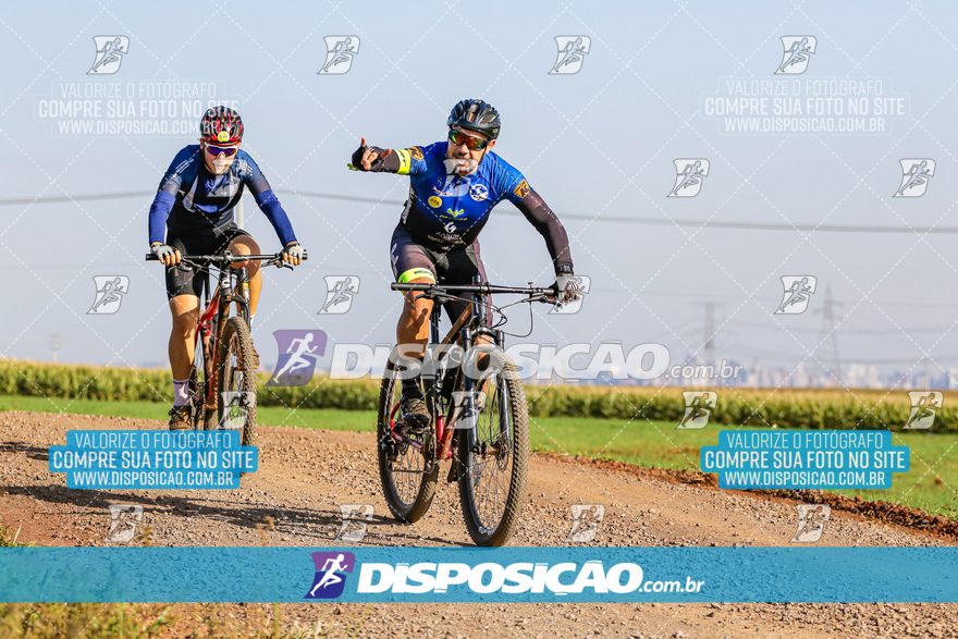 V Desafio MTB Marialva