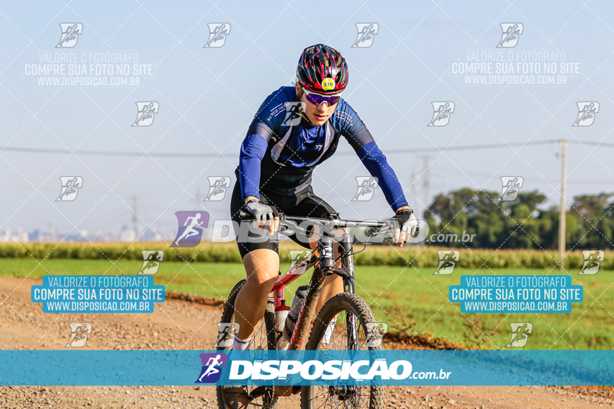 V Desafio MTB Marialva