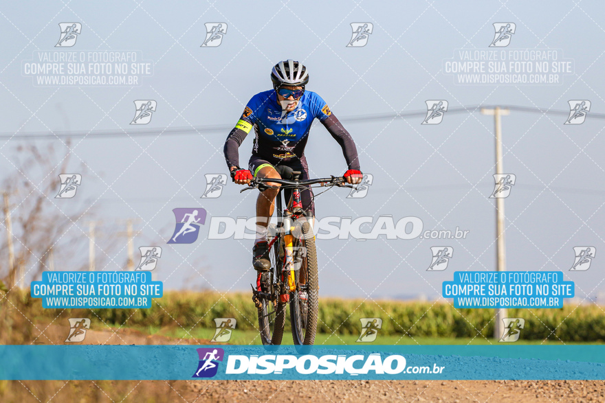 V Desafio MTB Marialva