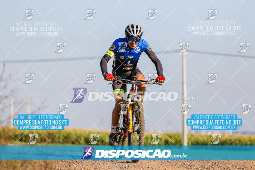 V Desafio MTB Marialva