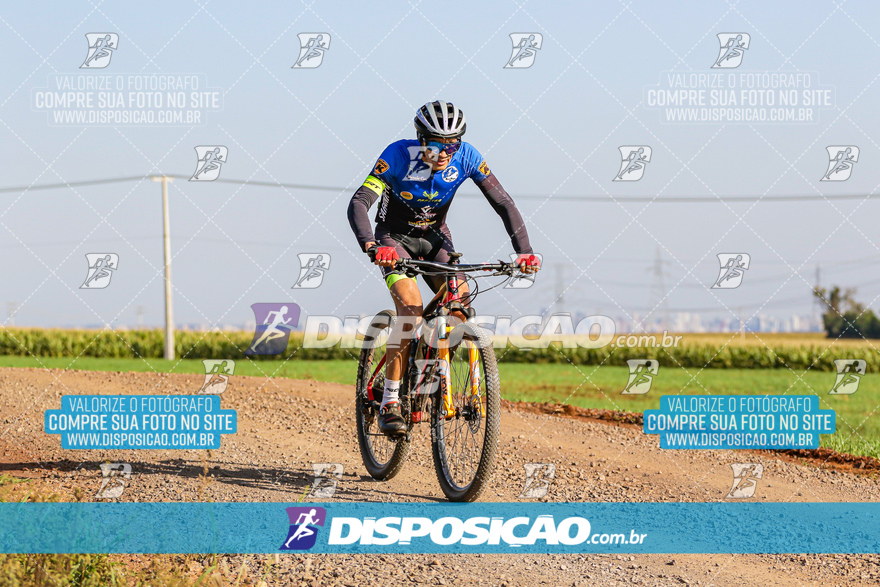 V Desafio MTB Marialva