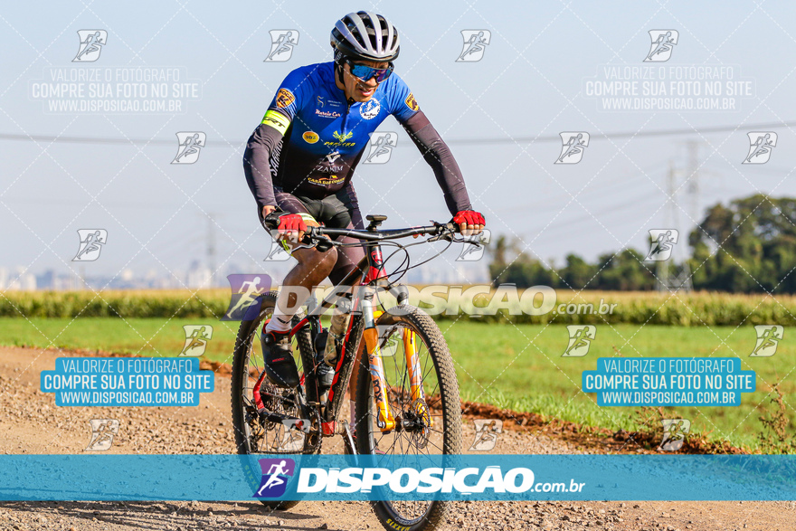 V Desafio MTB Marialva