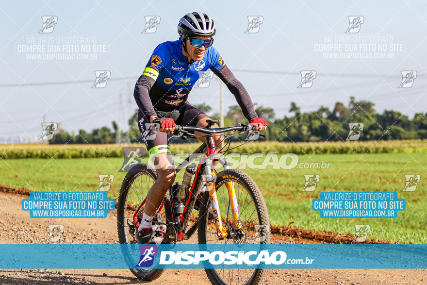 V Desafio MTB Marialva