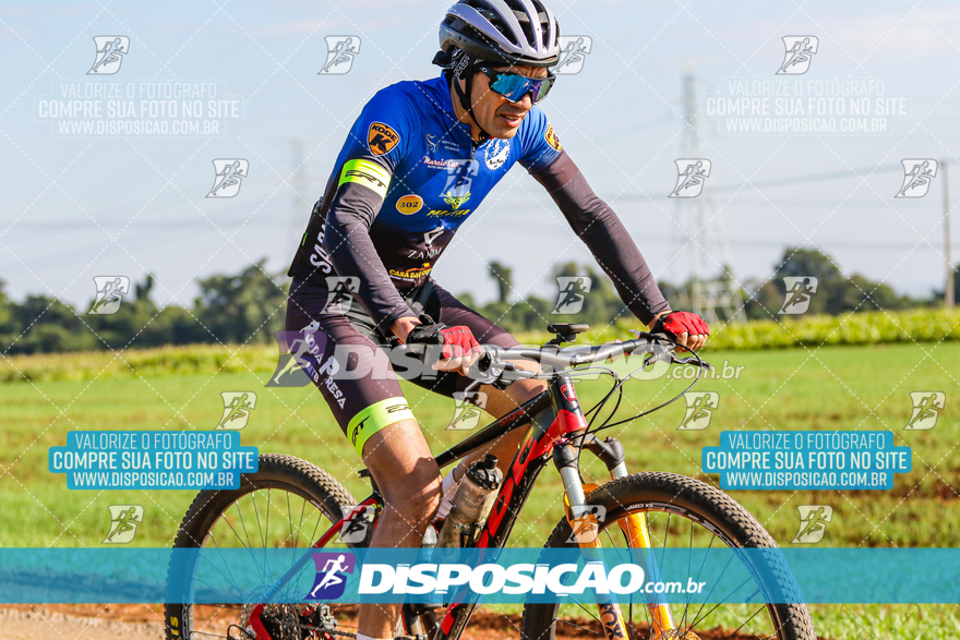 V Desafio MTB Marialva