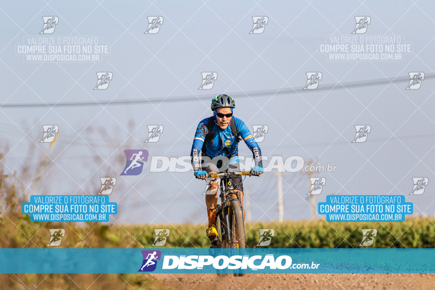 V Desafio MTB Marialva