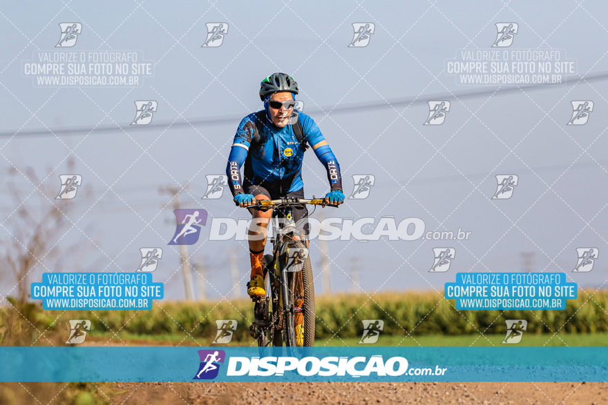 V Desafio MTB Marialva