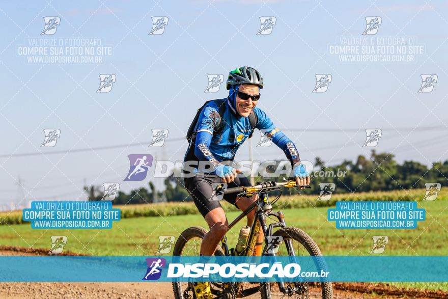 V Desafio MTB Marialva