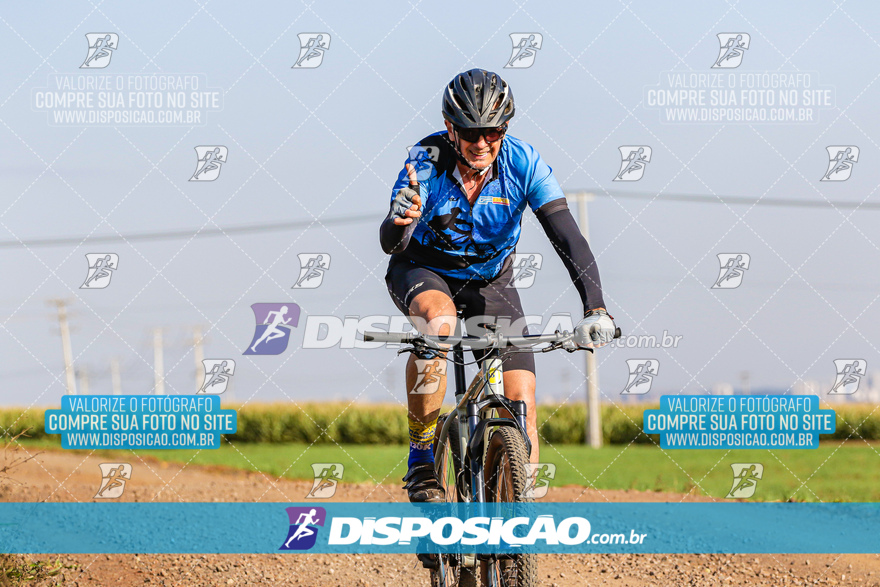 V Desafio MTB Marialva