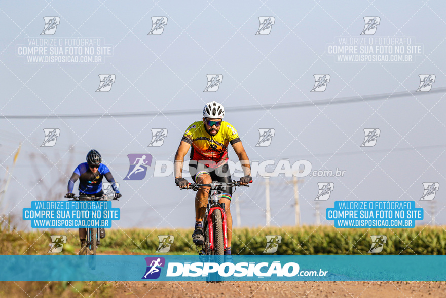 V Desafio MTB Marialva