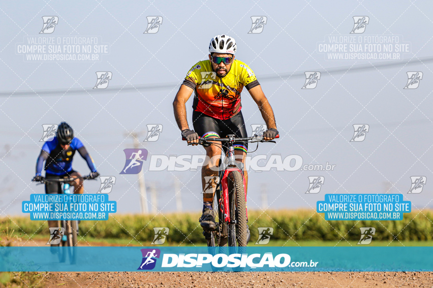 V Desafio MTB Marialva