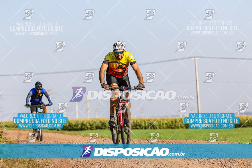 V Desafio MTB Marialva