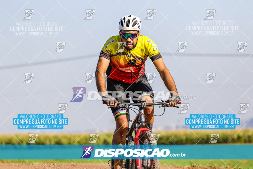 V Desafio MTB Marialva