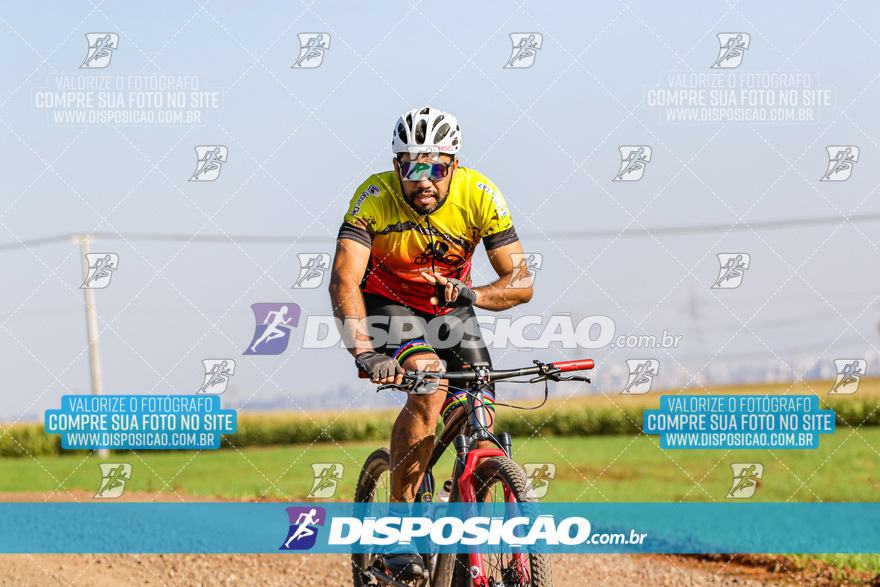 V Desafio MTB Marialva