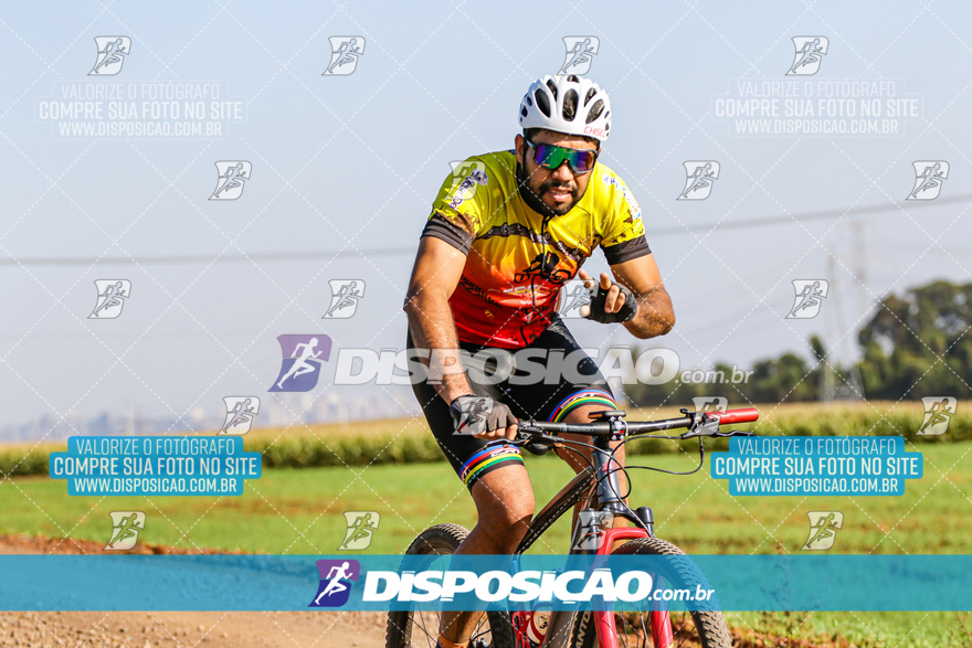 V Desafio MTB Marialva