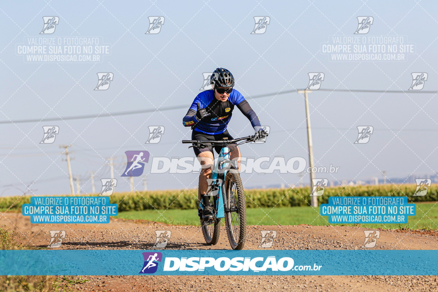 V Desafio MTB Marialva