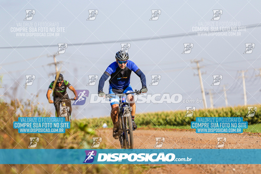 V Desafio MTB Marialva