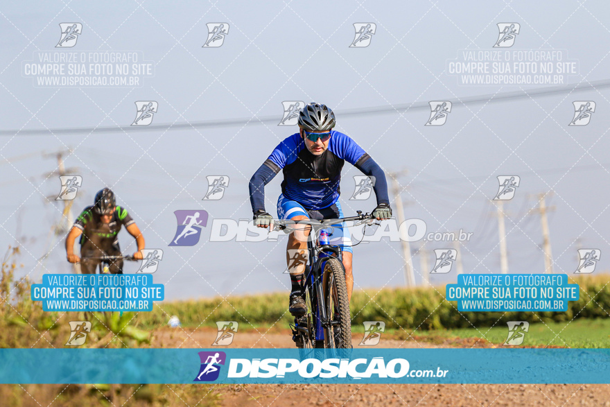 V Desafio MTB Marialva