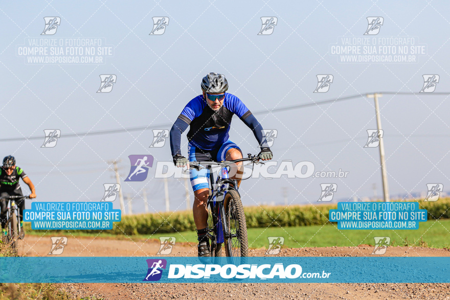 V Desafio MTB Marialva