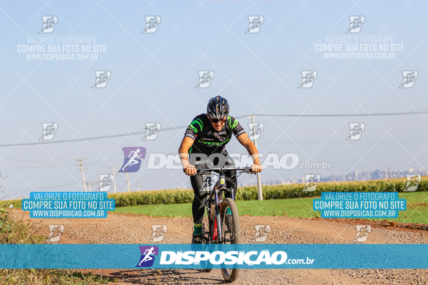 V Desafio MTB Marialva