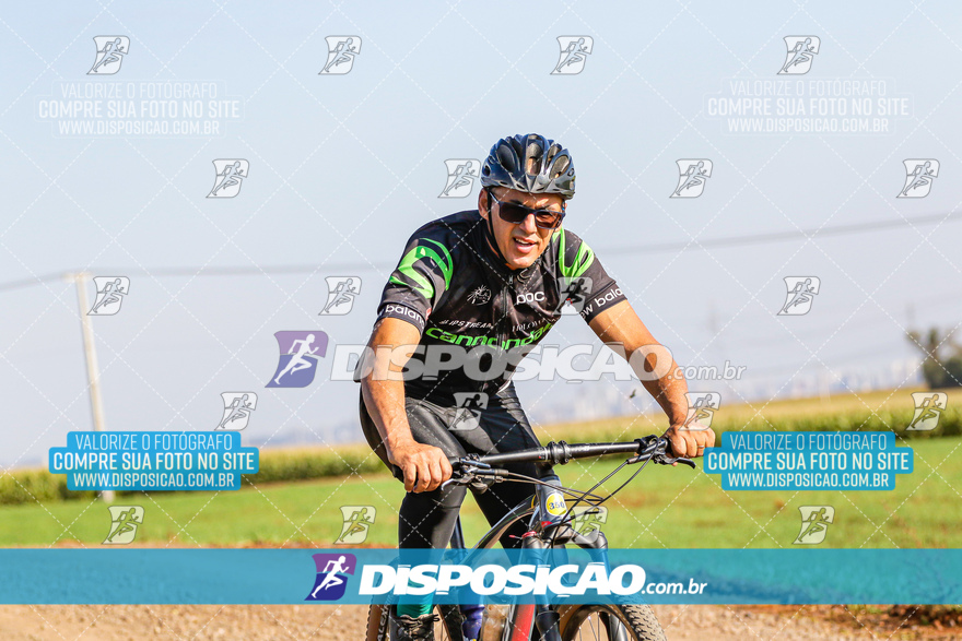 V Desafio MTB Marialva