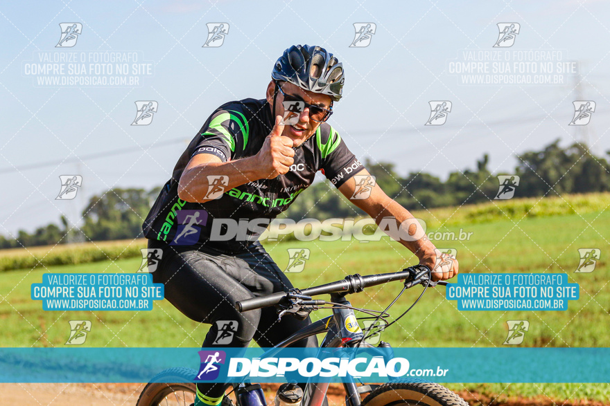 V Desafio MTB Marialva