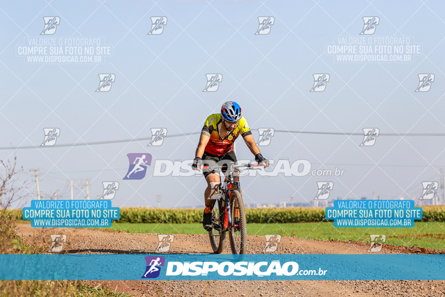 V Desafio MTB Marialva