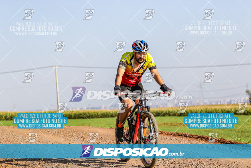 V Desafio MTB Marialva