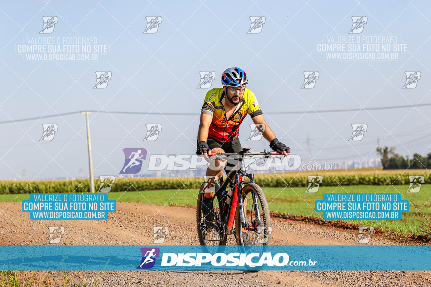 V Desafio MTB Marialva