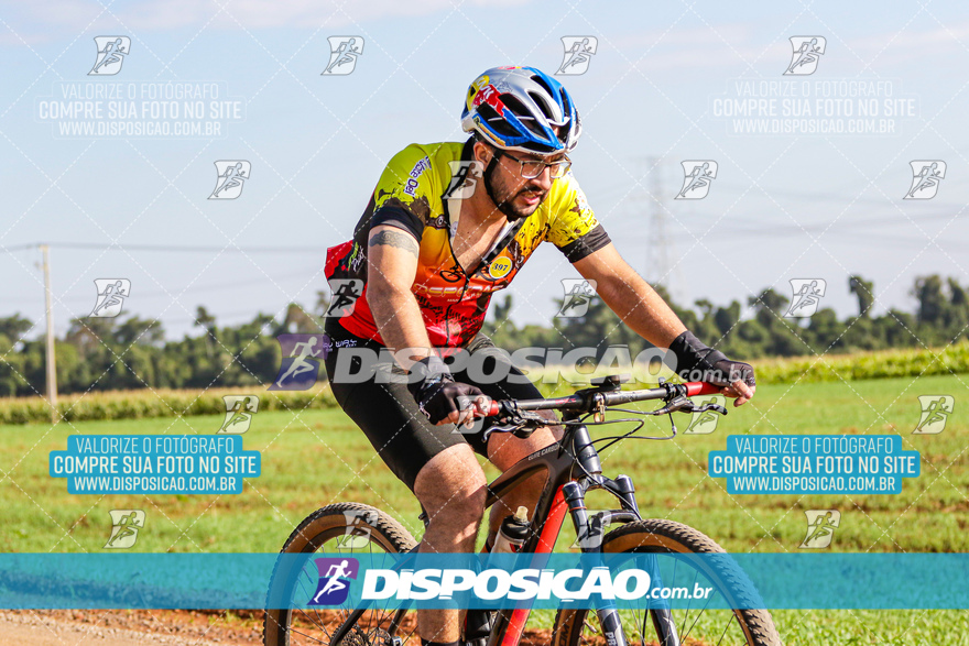 V Desafio MTB Marialva