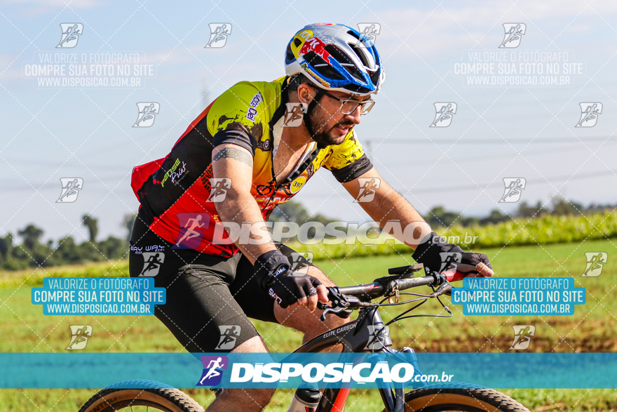 V Desafio MTB Marialva