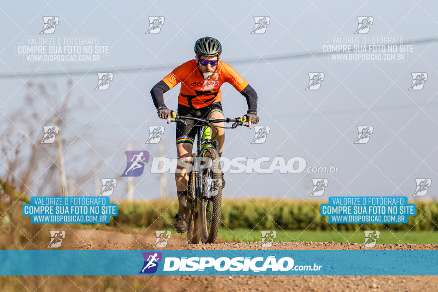 V Desafio MTB Marialva