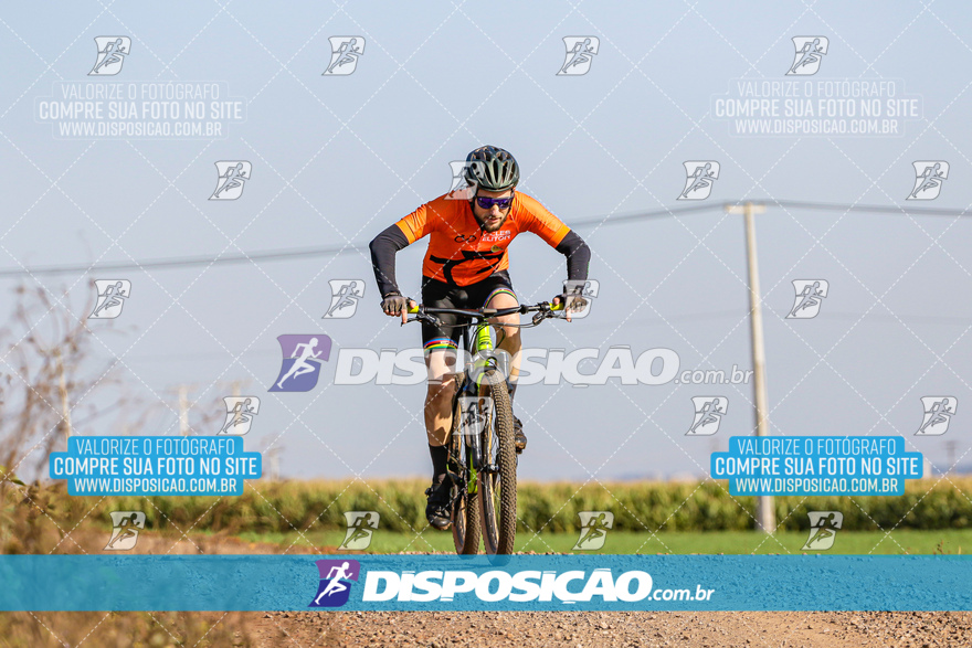 V Desafio MTB Marialva