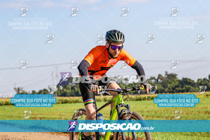 V Desafio MTB Marialva