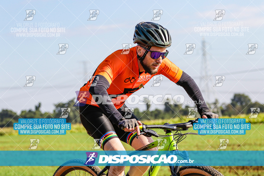 V Desafio MTB Marialva