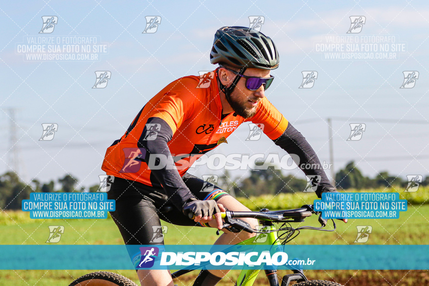 V Desafio MTB Marialva