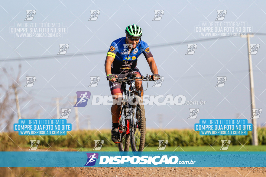 V Desafio MTB Marialva