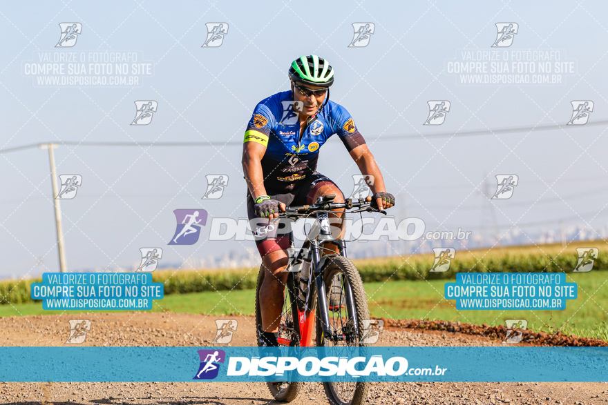 V Desafio MTB Marialva