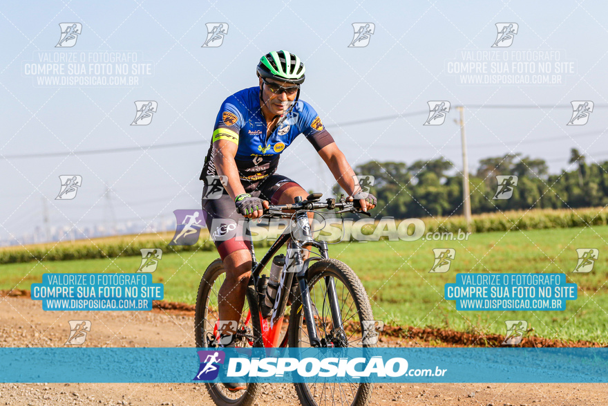 V Desafio MTB Marialva