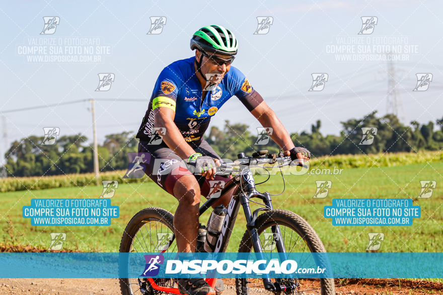 V Desafio MTB Marialva