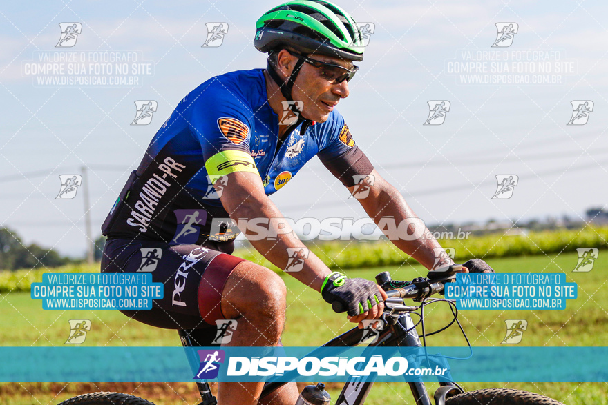 V Desafio MTB Marialva