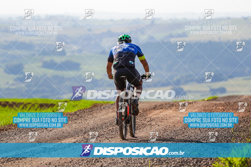 V Desafio MTB Marialva