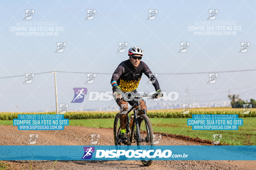 V Desafio MTB Marialva