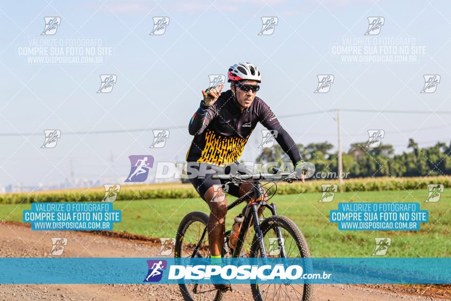 V Desafio MTB Marialva