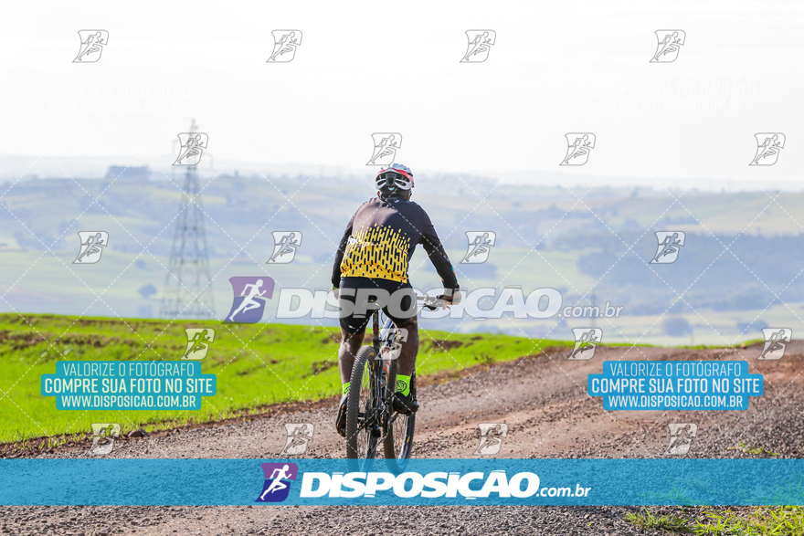 V Desafio MTB Marialva