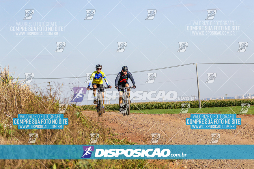 V Desafio MTB Marialva