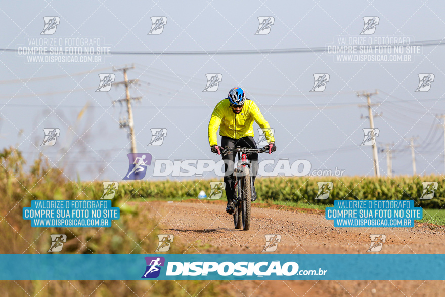 V Desafio MTB Marialva