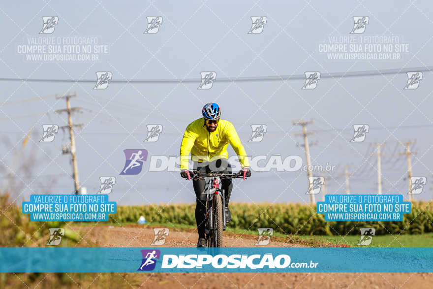 V Desafio MTB Marialva