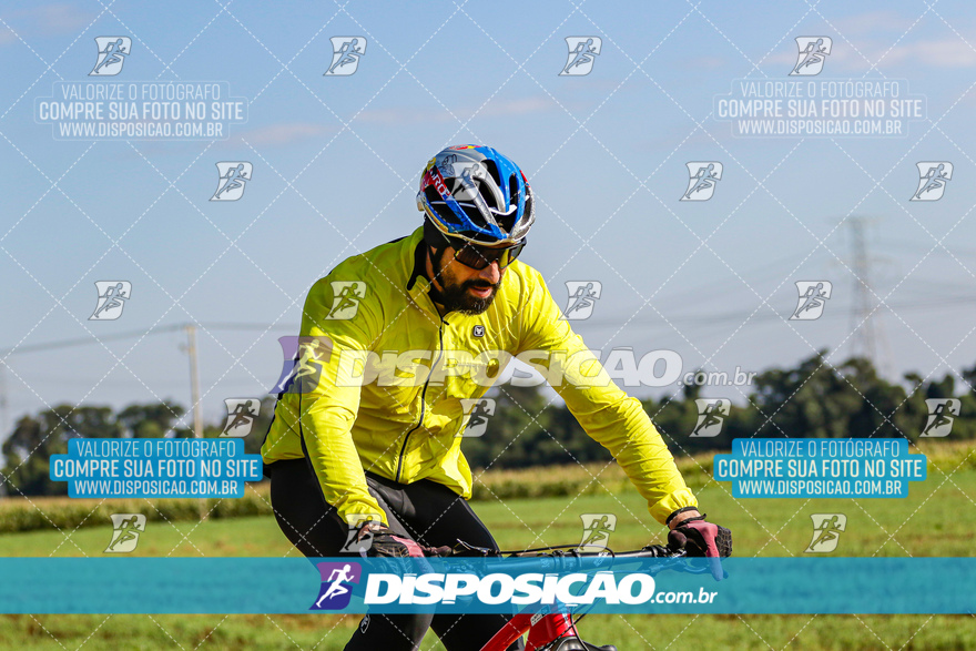 V Desafio MTB Marialva